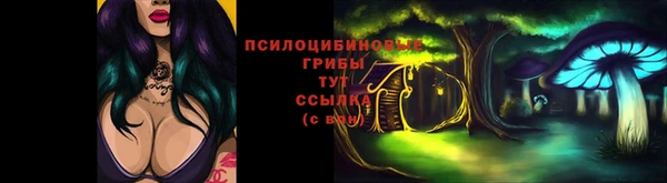 ешки Арсеньев