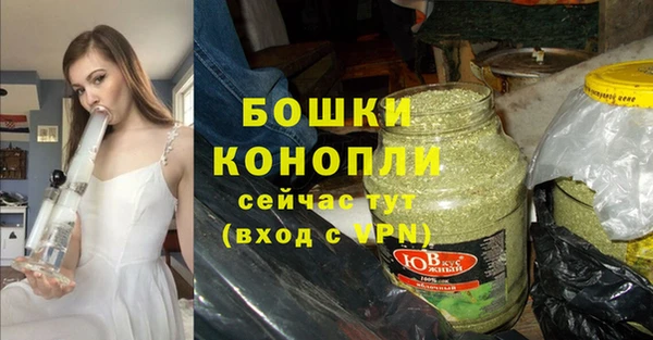 ешки Арсеньев