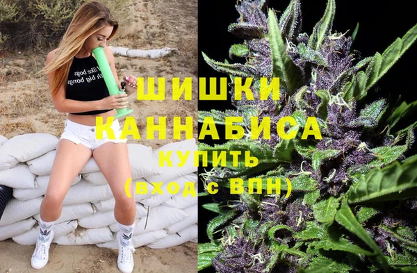 ешки Арсеньев