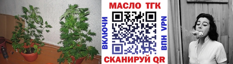 ТГК вейп купить закладку мориарти какой сайт Облучье