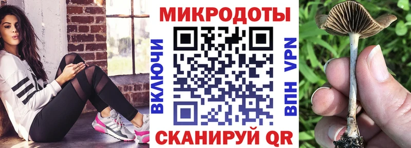 Псилоцибиновые грибы Psilocybine cubensis  Облучье 